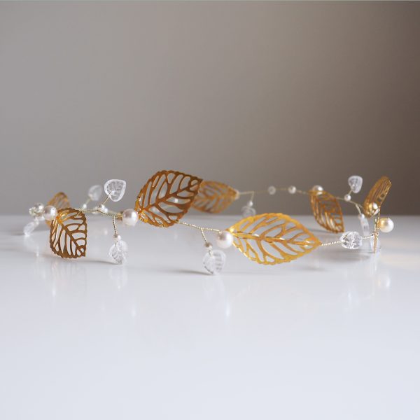 PHOLIA - Couronne